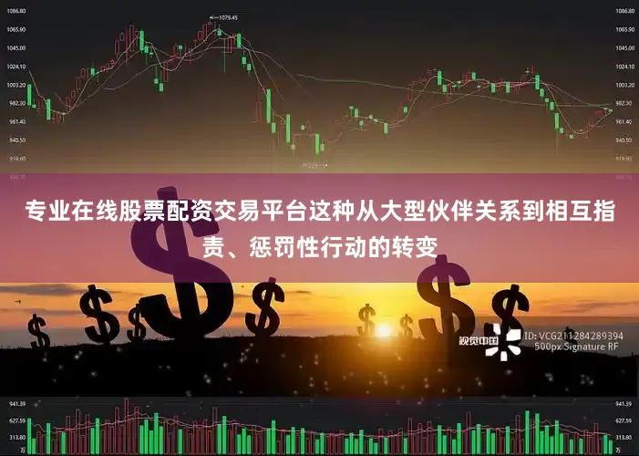 专业在线股票配资交易平台这种从大型伙伴关系到相互指责、惩罚性行动的转变